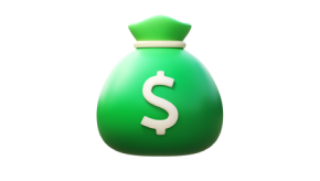 money bag icon