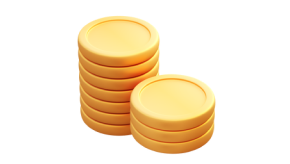 coin icon